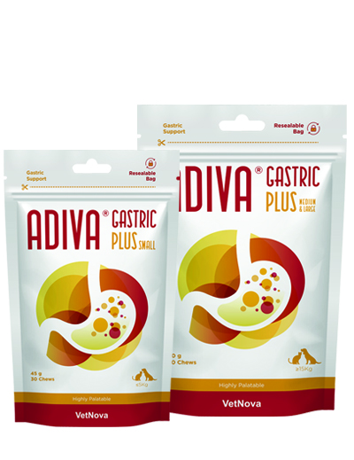 Adiva Gastric PLUS